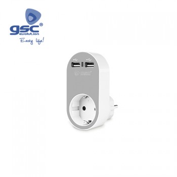 Steckdose mit 2fach USB Ausgang Ref. 000203364